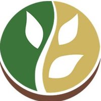 logo-company